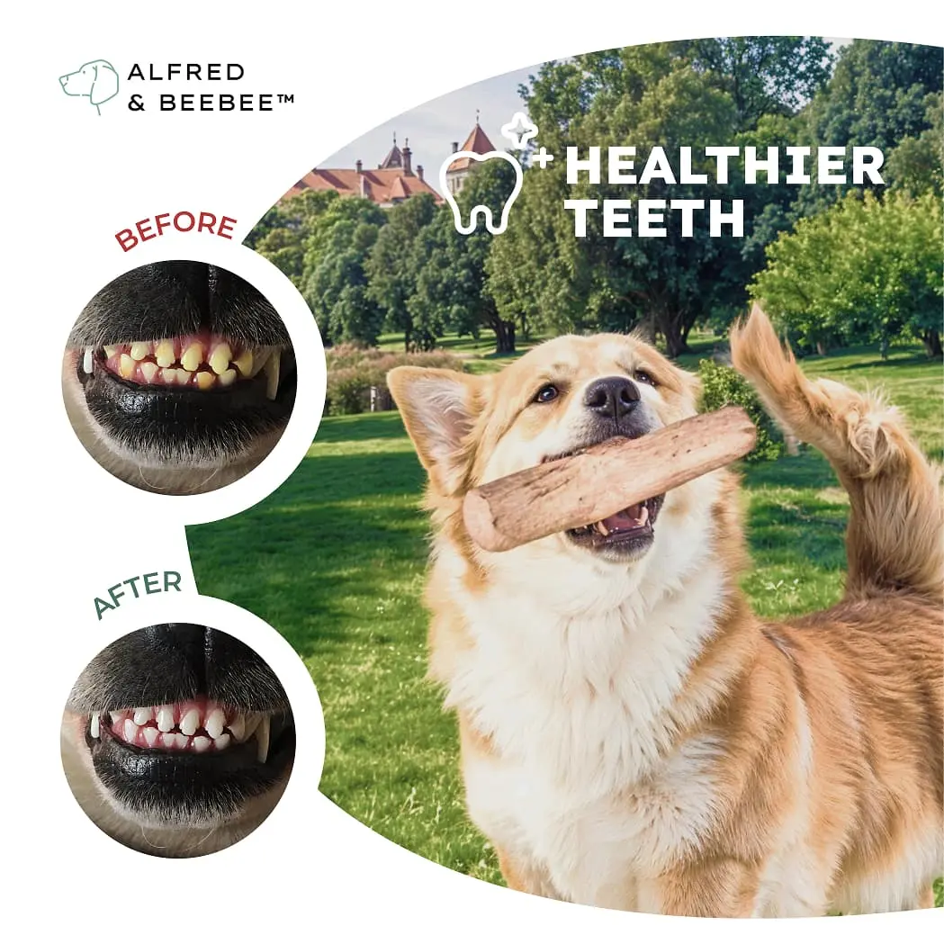 Pet dental chew listing image showing before and after results on a dog's teeth